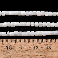 Natürlichen Süßwasser-Muschelperlen Stränge&nbsp;SH-CBA2978-21C