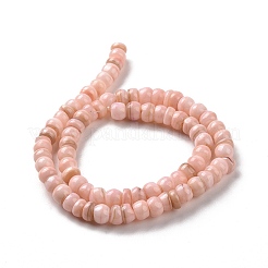 Brins de perles de coquillages d'eau douce de culture naturelle&nbsp;SHEL-F002-01A