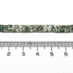 Natürliche grüne Fleck Jaspis Perlen Stränge&nbsp;G-Z045-A02-01
