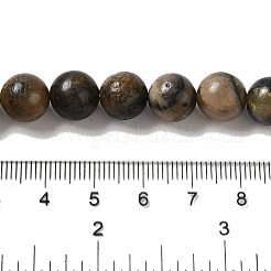 Natürliche Chiastolit-Perlenstränge&nbsp;G-Q161-A03-04
