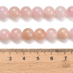 Abalorios de Morganita natural hebras&nbsp;G-H329-C12-8mm