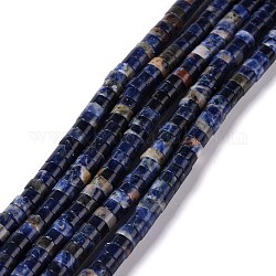 Perline sodalite naturale fili, rotondo e piatto, 6x3mm, Foro: 1 mm, circa 121pcs/filo, 15.35 pollice (39 cm)