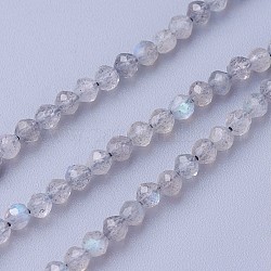 Chapelets de perles en labradorite naturelle , facette, ronde, 2~2.5mm, Trou: 0.5mm, Environ 180~200 pcs/chapelet, 14.5~16.1 pouce (37~41 cm)