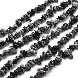Flocon de neige puce obsidienne chapelets de perles, 5~8x5~8mm, Trou: 1mm, environ 31.5 pouce