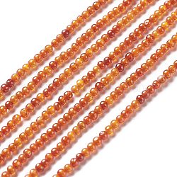 Zirkonia Perlenstränge, Runde, orange, 2~2.5 mm, Bohrung: 0.6 mm, ca. 193 Stk. / Strang, 14.57~15.08 Zoll (37~38.3 cm)