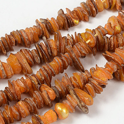 Shell perle naturali fili, pezzo, tinto, arancione, circa 6~15mm, 1~5 mm di spessore, Foro: 1 mm, circa 190pcs/filo, 15 pollice