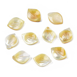 Ciondoli di conchiglia gialla naturale, Petaline, 13~14x10x2~3mm, Foro: 0.8 mm