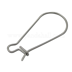 316 Surgical Stainless Steel Hoop Earrings Findings Kidney Ear Wires, about 12mm wide, 25mm long, 0.8mm thick