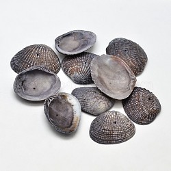 Gefärbte natürliche Muschelperlen, Schwarz, 32~37x20~29x8~10 mm, Bohrung: 1 mm, ca. 30~40 Stk. / Kasten