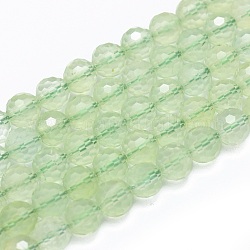 Chapelets de perles en préhnite naturelle, facette, ronde, 6mm, Trou: 0.8mm, Environ 59 pcs/chapelet, 15.7 pouce (40 cm)