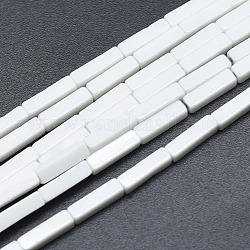 Природный агат бисер нитей, окрашенная и подогревом, кубоид, белые, 8.5~9x2.5x2 мм, отверстие : 0.5 мм, около 47 шт / нитка, 15.5 дюйм