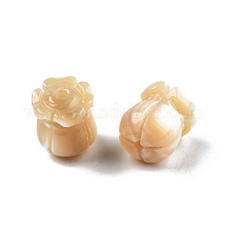 Perle trochid naturali / conchiglie trochus, fiore, 9.5~10x8x8mm, Foro: 1 mm