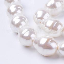 Chapelets de perles de coquille, larme avec helmix, blanc, 22~23x17~18mm, trou: 2mm, environ 17 pcs/chapelet, 15.15 pouces
