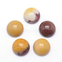 Cabochons Mookaite naturales, semicírculo, 12x5~6mm