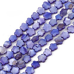 Fili di perline tinti in conchiglia naturale d'acqua dolce, fiore, blu ardesia, 8x8.5x3mm, Foro: 0.6 mm, circa 49pcs/filo, 15.35'' (39 cm)