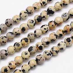 Natural Dalmation Jasper Beads Strands, Faceted, Round, Navajo White, 4mm, Hole: 1mm, about 90pcs/strand, 15.35 inch