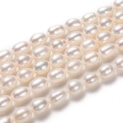Fili di perle di perle d'acqua dolce coltivate naturali, riso, bisque, 7~8x6mm, Foro: 0.7 mm, circa 50pcs/filo, 15.35 pollice (39 cm)