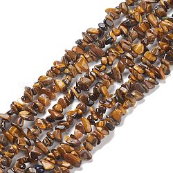 Natural Tiger Eye Chips Beads Strands, 5~8mm, Hole: 0.3mm