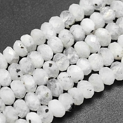 Brins de perles de pierre de lune arc-en-ciel naturel, rondelle, facette, 6x4mm, Trou: 1mm, Environ 103 pcs/chapelet, 15.9 pouce (40.5 cm)