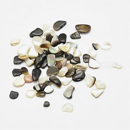Natural Black Lip Shell Beads BSHE-G005-01-1
