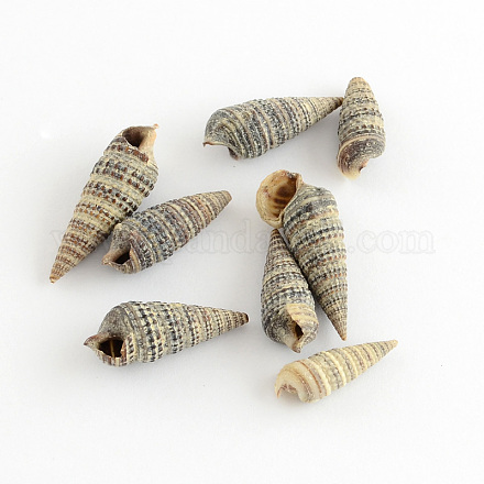 Spiral Shell Home Decorations SSHEL-S001-06-1
