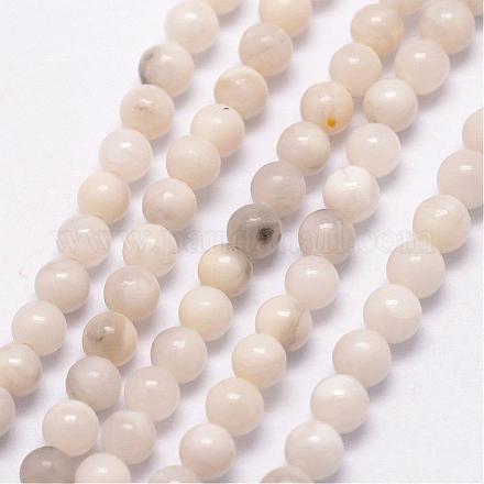 Fili di perle di magnesite naturale G-K146-18-3mm-1