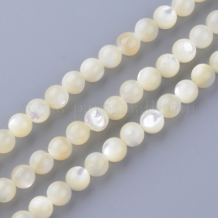Chapelets de perles en coquillage naturel X-SSHEL-S252-03-1