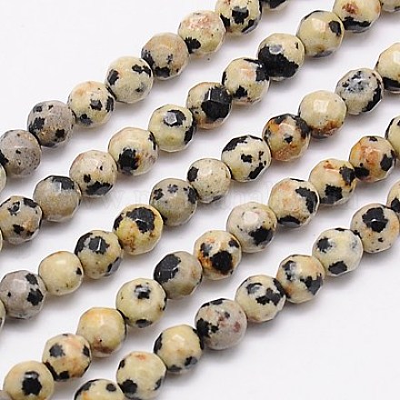 Natur Dalmatiner Jaspis Perlen Stränge X-G-G545-11-1