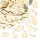 パンダホールエリート180ピース10スタイルミラーラインストーンで縫う  混合形状のアクリル片  衣装イブニングドレス服ウェディングドレス装飾用の穴付き  ゴールド  5.5~24x14.5~37x1.5mm  穴：1mm  18個/スタイル DIY-PH0013-65C-1