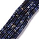 Natural Sodalite Beads Strands G-C240-04A-1