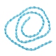 Perles en verre transparentes GLAA-P001-01A-04-3