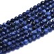 Natural Sodalite Beads Strands G-K310-A21-8mm-1