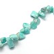 Amazonite Beads Strands G-O050-08-3