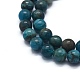 Natural Apatite Beads Strands X-G-F591-01-5