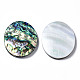 Cabochon di conchiglia abalone naturale / paua shell SSHEL-N034-87-3