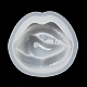 Moules en silicone de décoration d'affichage de lèvre de bricolage SIMO-H142-01B-4