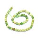 Natural Serpentine Beads Strands G-O180-02D-2