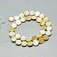 Chapelets de perles en coquillage naturel SSHEL-Q301-06-3