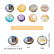 SUNNYCLUE 1 Box 128Pcs 8 Colors Colorful Shell Beads Flat Round Natural Freshwater Seashell Drawbench Beads Charms Ocean Beach Hawaii Style for Jewelry Making DIY Earrings Necklaces Findings SHEL-SC0001-15-2