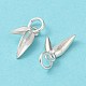 925 Sterling Silver Charms STER-H106-05S-3