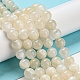 Natürlichen weißen Mondstein Perlen Stränge G-F306-05AB-10mm-01-4
