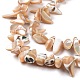 Brins de perles de coquillages naturels de troca SSHEL-H070-03A-4