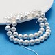 Shell Pearl Beads Strands X-SP8MM221-2