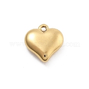 Подвески из нержавеющей стали 304 STAS-R155-054B-G