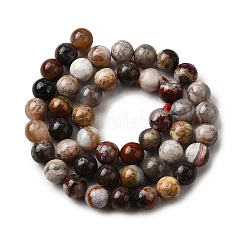 Brins de perles d'agate folle naturelle du Mexique&nbsp;G-L615-A01-03