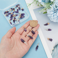 32 Stück 2 Farben natürlicher Amethyst-Anhänger&nbsp;PALLOY-HY0001-05