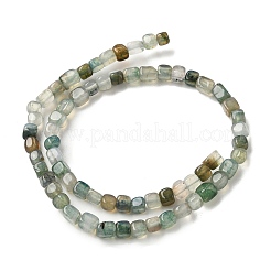 Brins de perles d'agate veines de dragon naturelles (teintes et chauffées)&nbsp;G-G177-E11-03
