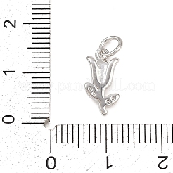 Breloques en laiton zircon cubique transparent&nbsp;KK-G544-06P-01