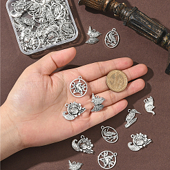 48 pz 6 stili pendenti in lega di stile tibetano&nbsp;FIND-SC0019-41