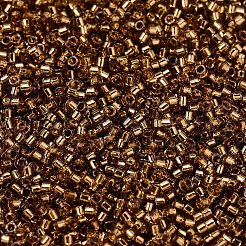 Miyuki Delica Perlen&nbsp;X-SEED-J020-DB2524